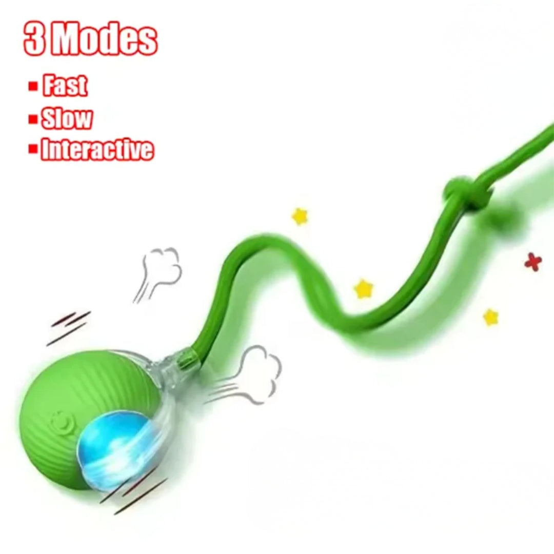 ChaseMate™ – Motion-Activated Cat Toy