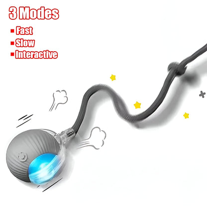 ChaseMate™ – Motion-Activated Cat Toy