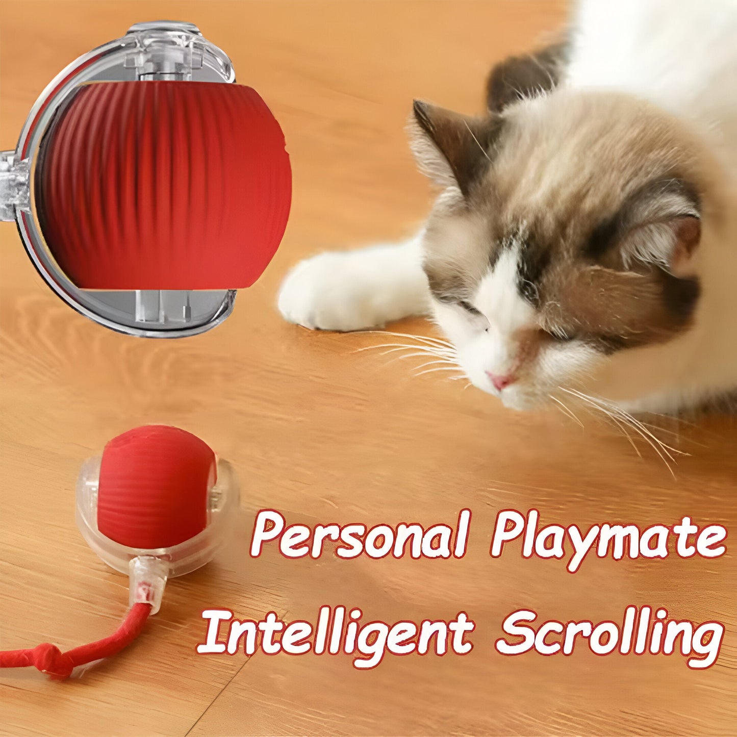 ChaseMate™ – Motion-Activated Cat Toy
