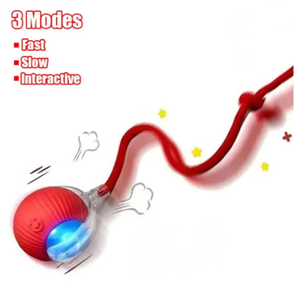 ChaseMate™ – Motion-Activated Cat Toy